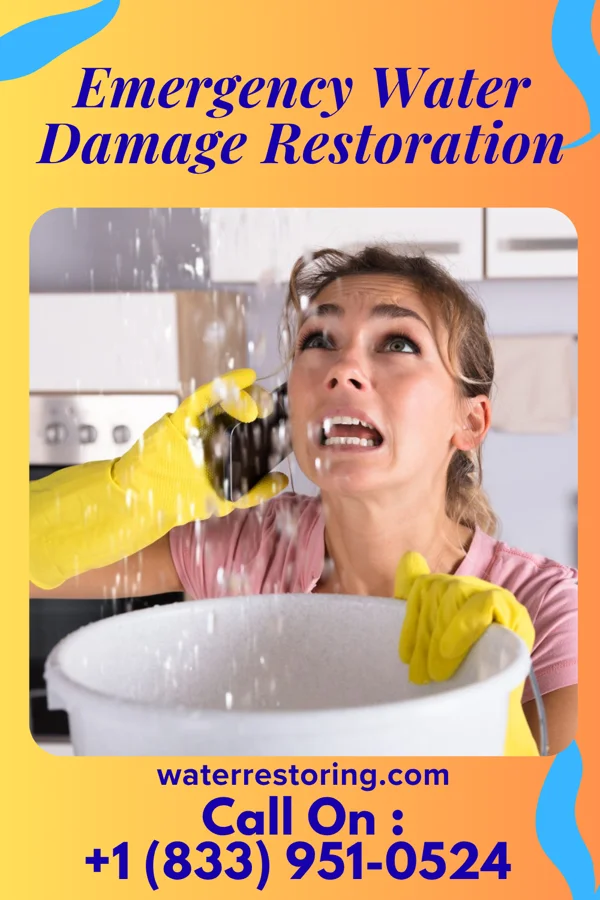 Emergency Water Damage Restoration in Anthem, AZ