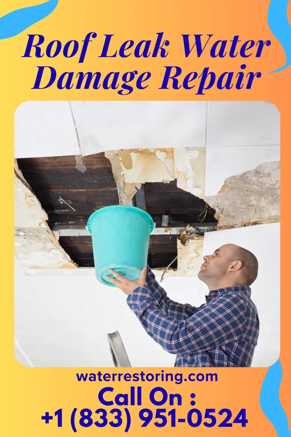 Roof Leak Water Damage Repair in Anthem, AZ
